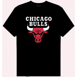 CAMISETA CHICAGO BULLS