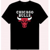 CAMISETA CHICAGO BULLS